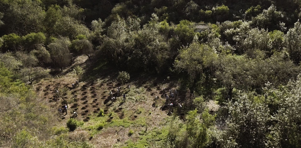 Estuvimos en Firgas (Gran Canaria) de la mano de la Fundación Foresta y su Plan de Empleo