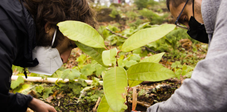 La Fundación Foresta vuelve a confiar en Desenfoque Producciones para un audiovisual